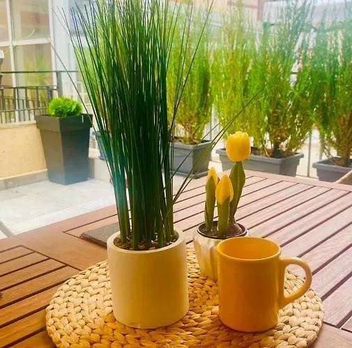 Апартамент Burgas Apartment *